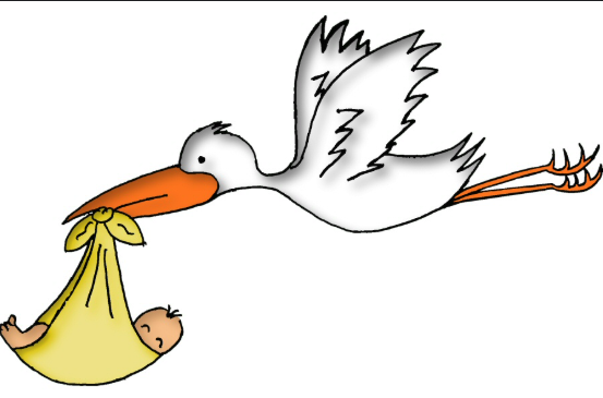 Capture d’écran 2025-11-10 à 13.35.46.png Capture d’écran 2025-11-10 à 13.35.46.png