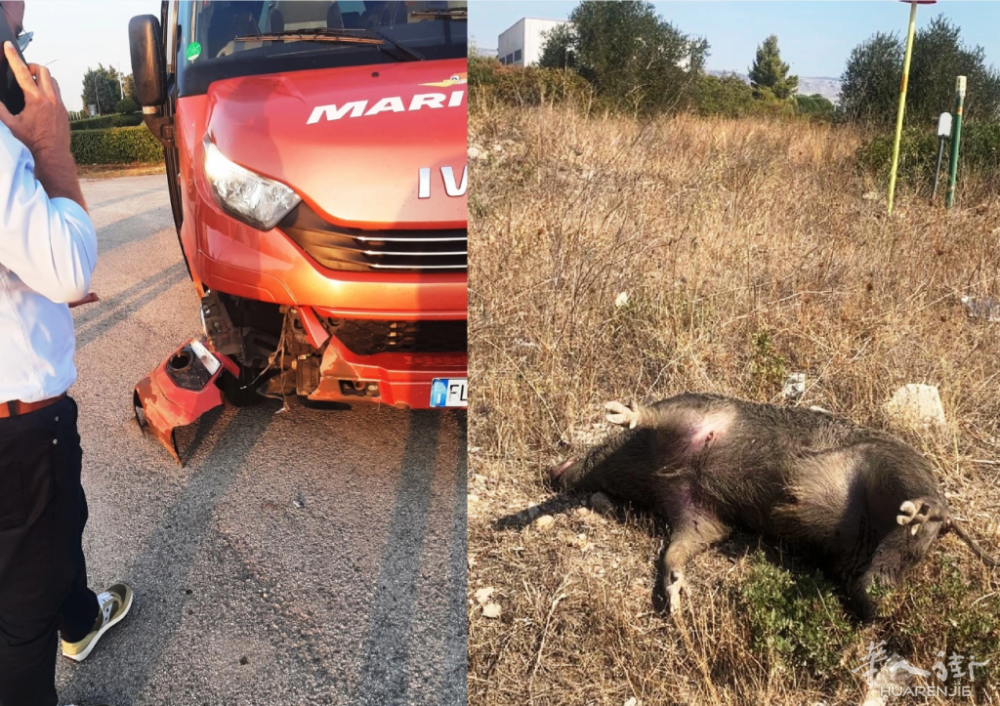 截图20251112134217.png 截图20251112134217.png