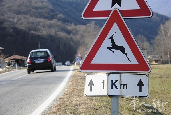 segnaletica-animali-selvatici-campersereno.jpg segnaletica-animali-selvatici-campersereno.jpg