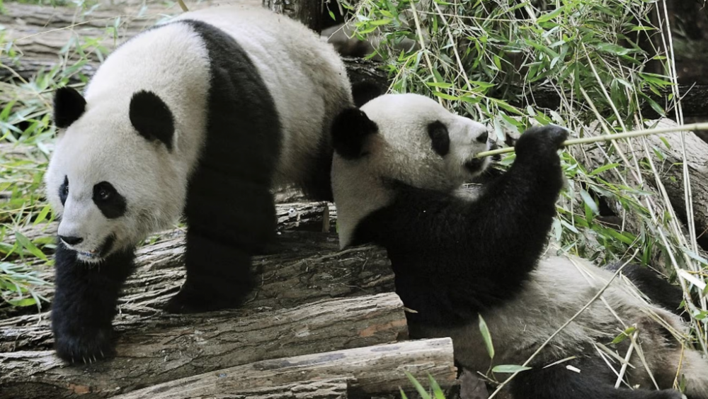 截屏2025-11-23 19.25.21.png 截屏2025-11-23 19.25.21.png