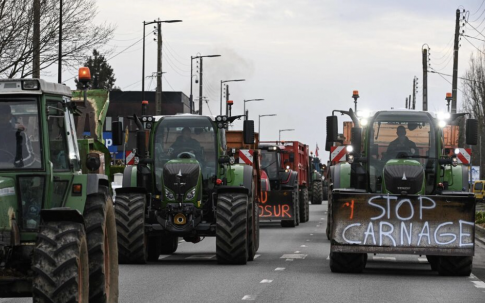 截屏2025-12-20 20.15.51.png