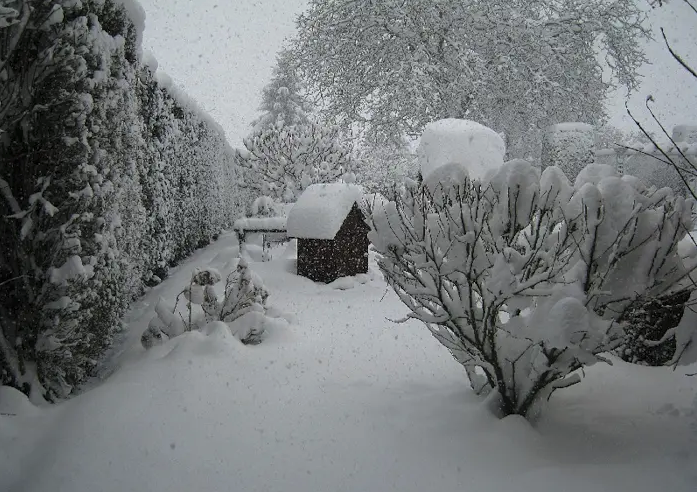 Capture d’écran 2025-12-22 à 09.48.41.png Capture d’écran 2025-12-22 à 09.48.41.png