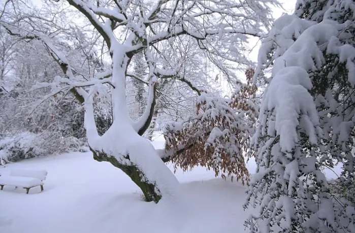 Capture d’écran 2025-12-22 à 09.49.02.png Capture d’écran 2025-12-22 à 09.49.02.png