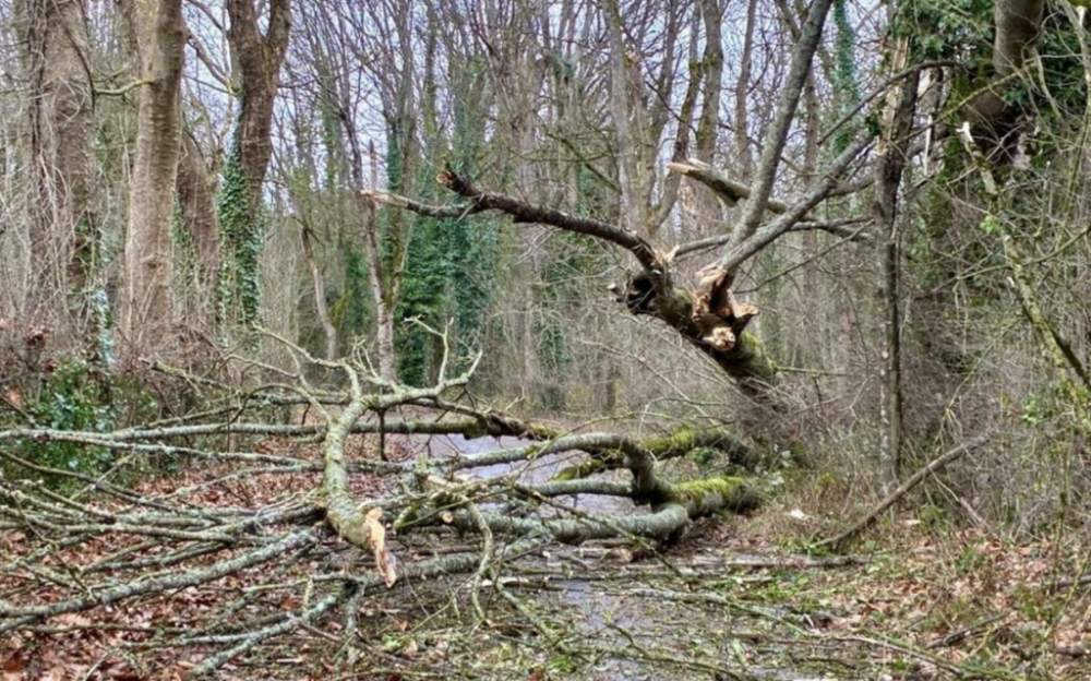 截屏2026-01-09 19.12.37.png