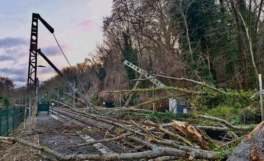 Capture d’écran 2026-01-09 à 15.46.45.png