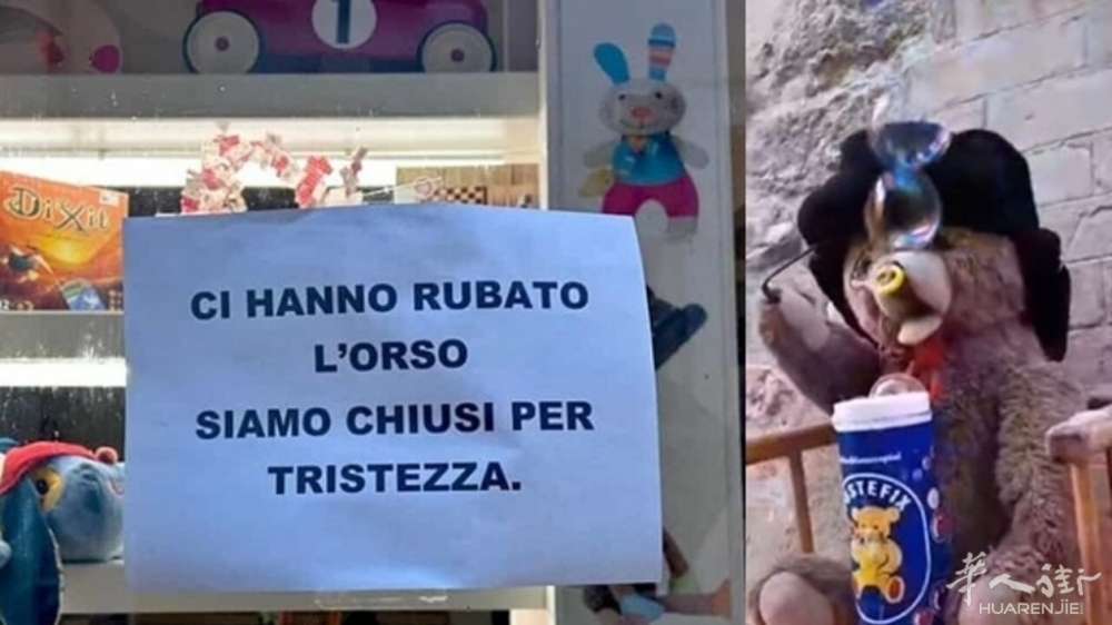 furto orsetto Città del sole (1).jpeg