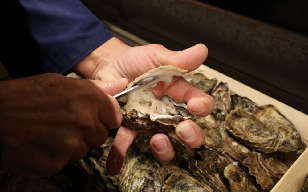 截屏2026-02-09 15.30.59.png