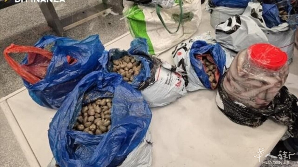 Pesce sequestrato finanza-2.jpg