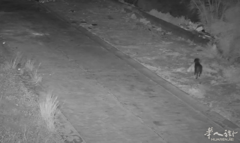 截屏2026-02-20 20.36.09.png