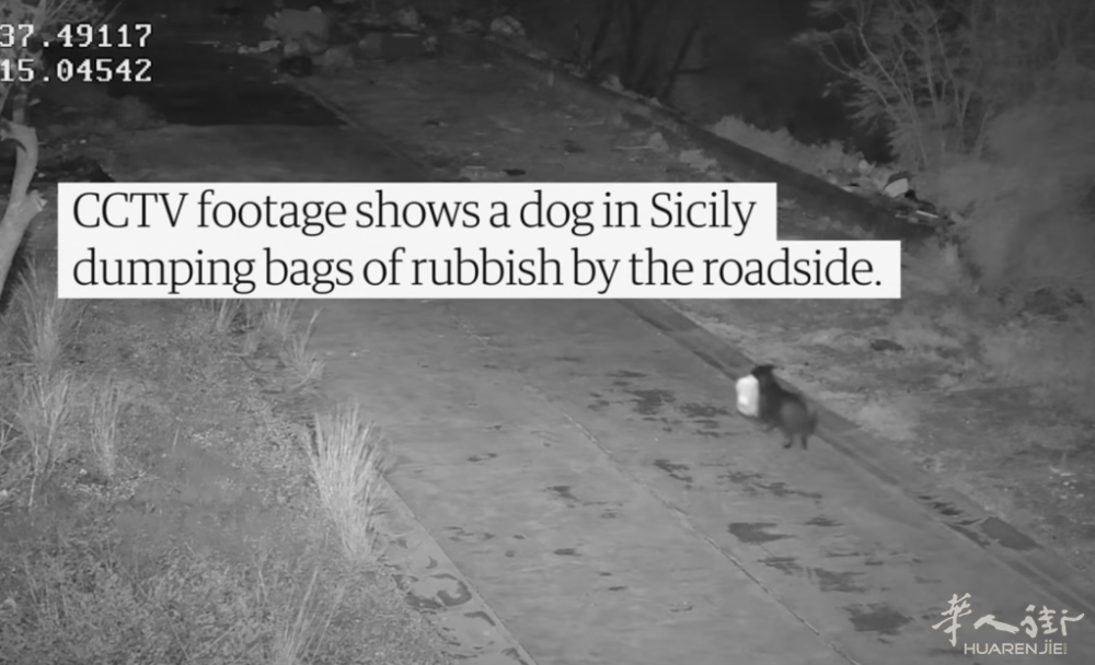 截屏2026-02-20 20.35.50.png