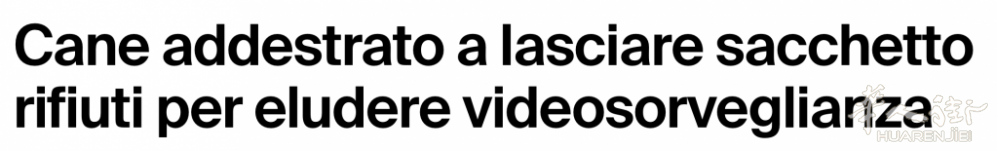 截屏2026-02-20 20.28.14.png